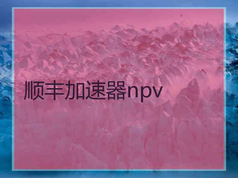 顺丰加速器npv