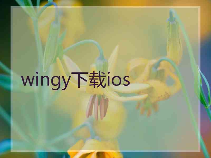 wingy下载ios