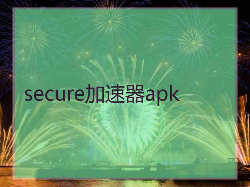 secure加速器apk