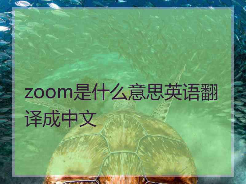 zoom是什么意思英语翻译成中文