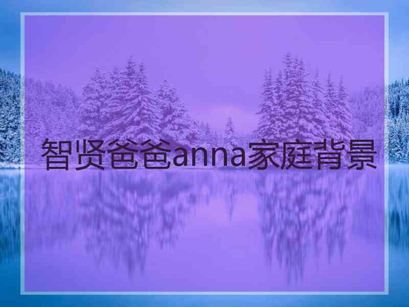 智贤爸爸anna家庭背景