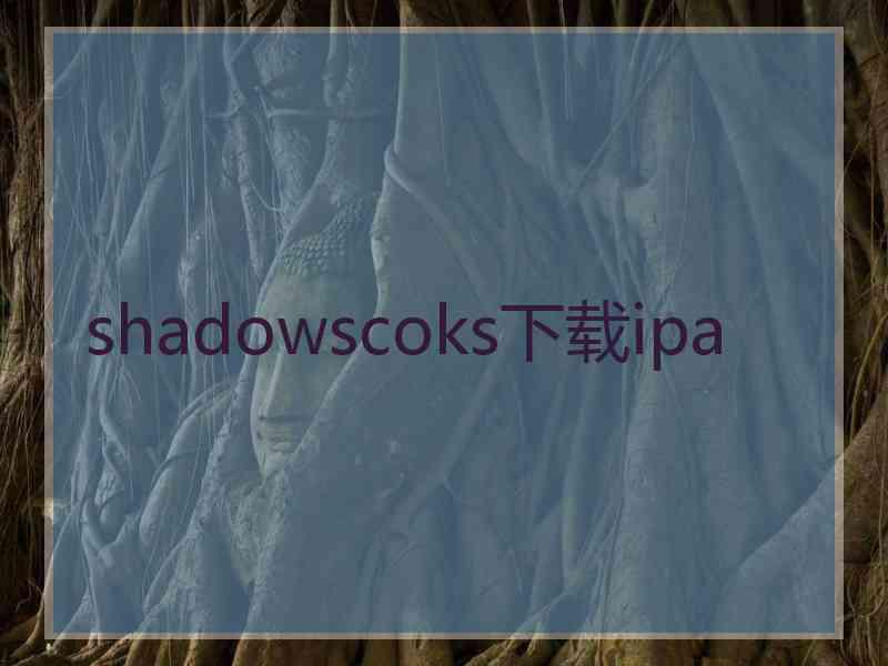 shadowscoks下载ipa