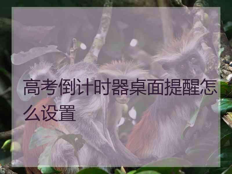 高考倒计时器桌面提醒怎么设置