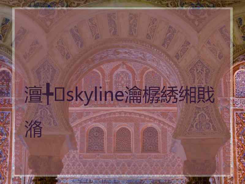 澶╄skyline瀹樼綉缃戝潃