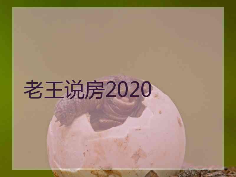 老王说房2020