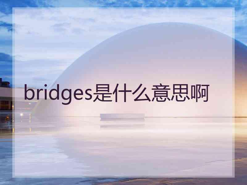 bridges是什么意思啊