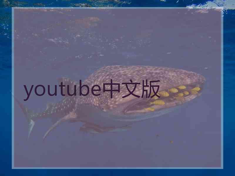 youtube中文版