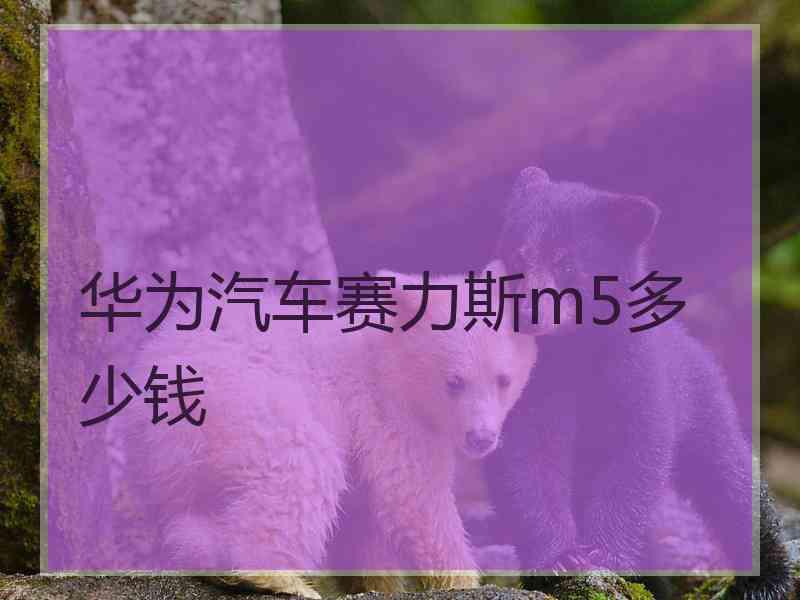 华为汽车赛力斯m5多少钱