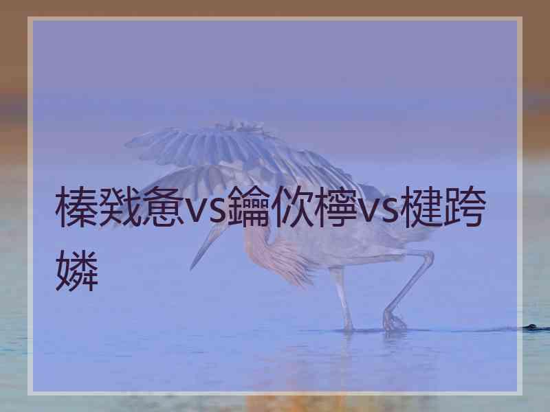 榛戣惫vs鑰佽檸vs楗跨嫾