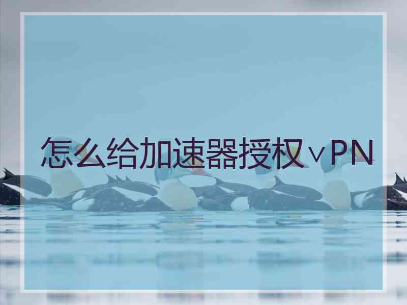 怎么给加速器授权∨PN