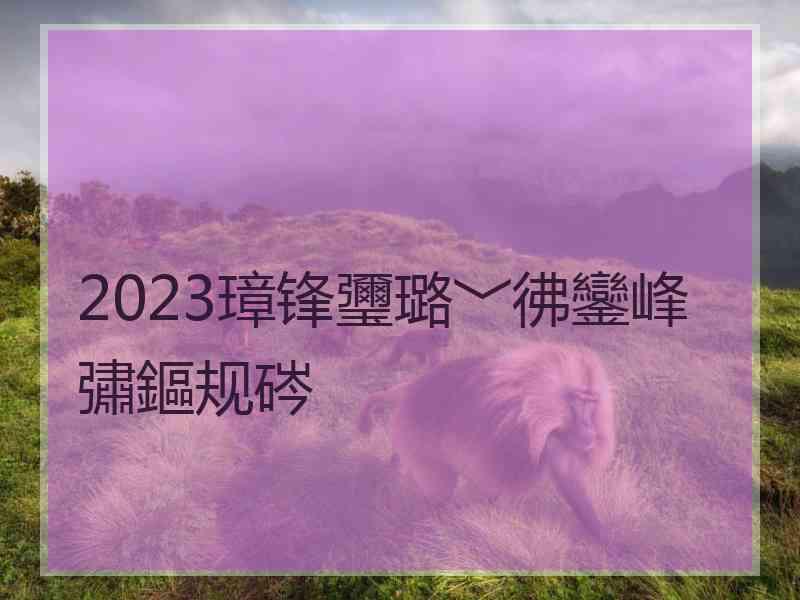 2023璋锋瓕璐﹀彿鑾峰彇鏂规硶