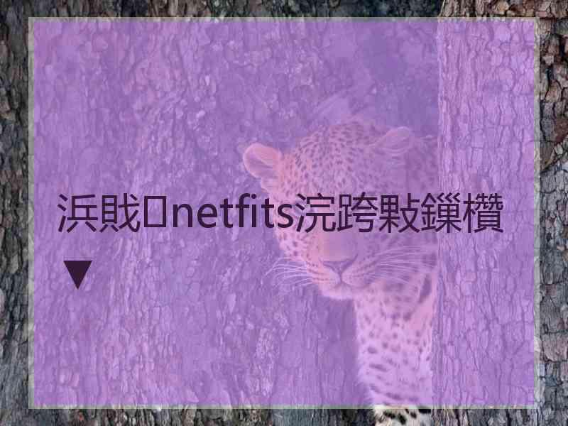 浜戝netfits浣跨敤鏁欑▼