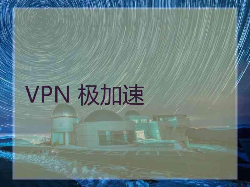 VPN 极加速