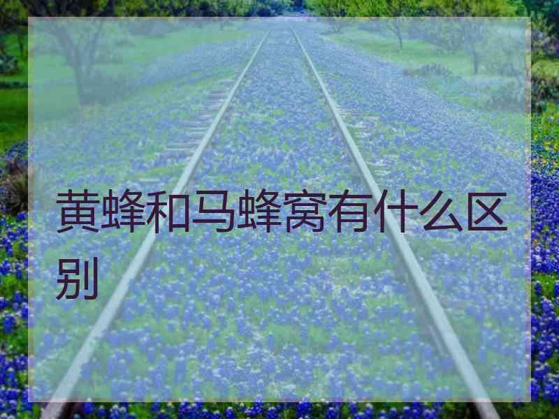 黄蜂和马蜂窝有什么区别