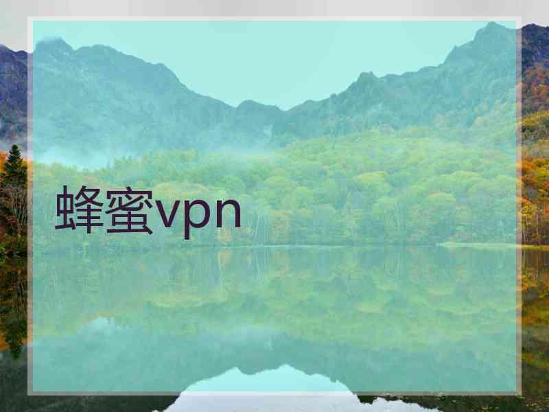 蜂蜜vpn