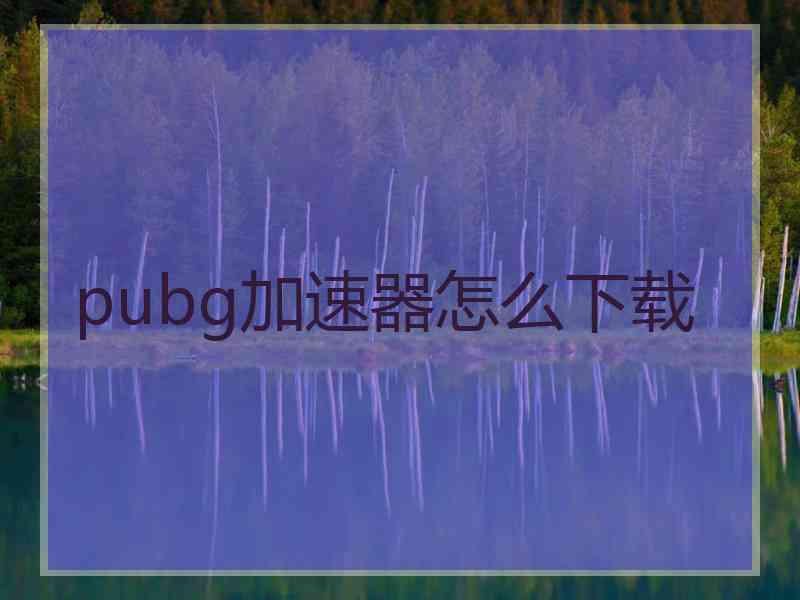 pubg加速器怎么下载