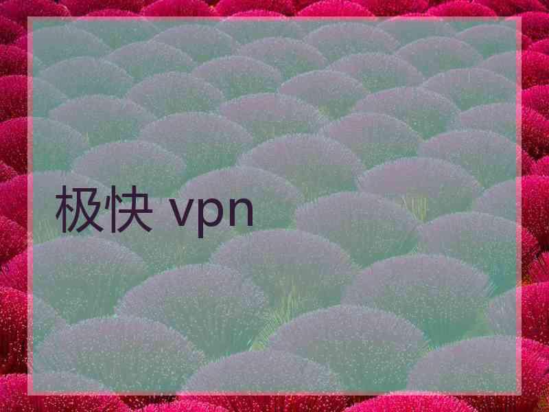 极快 vpn