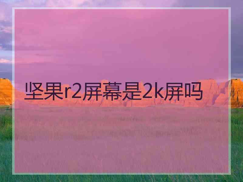 坚果r2屏幕是2k屏吗