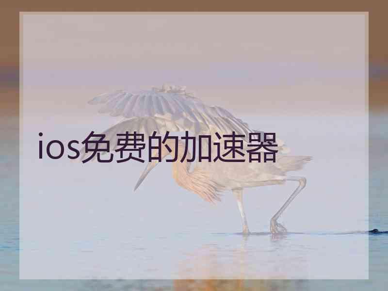 ios免费的加速器