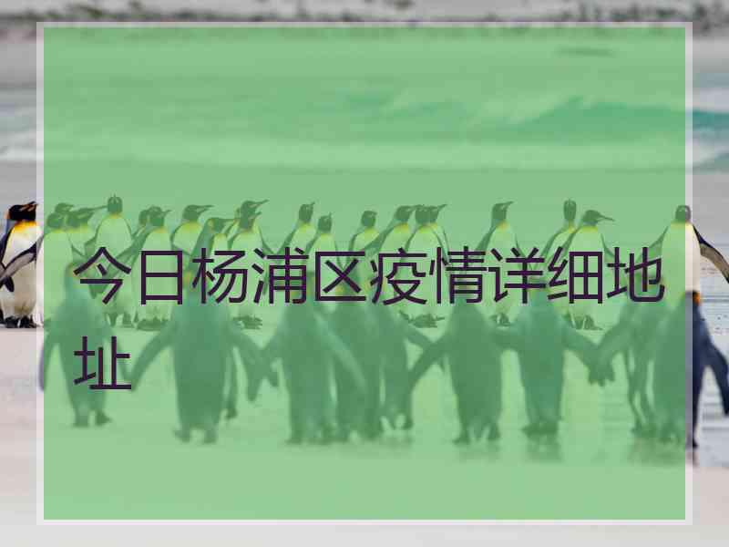 今日杨浦区疫情详细地址