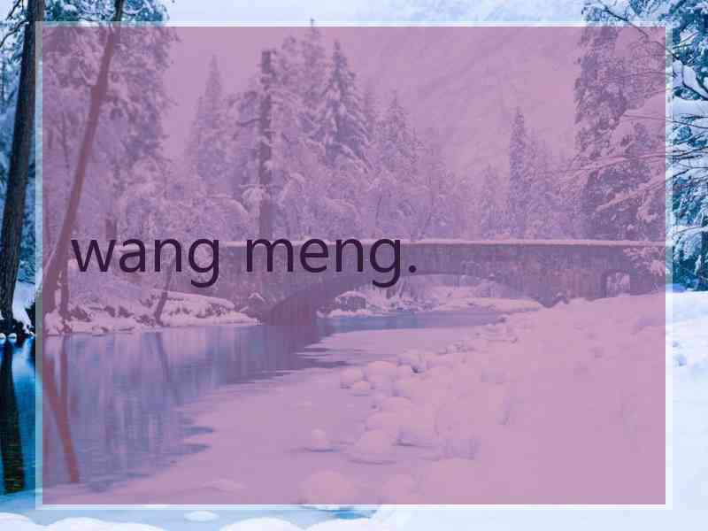 wang meng.