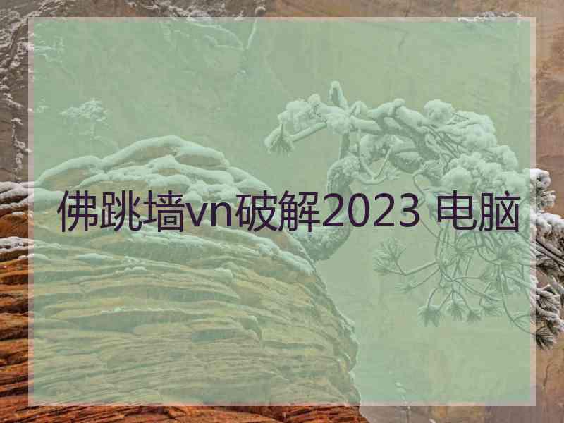 佛跳墙vn破解2023 电脑