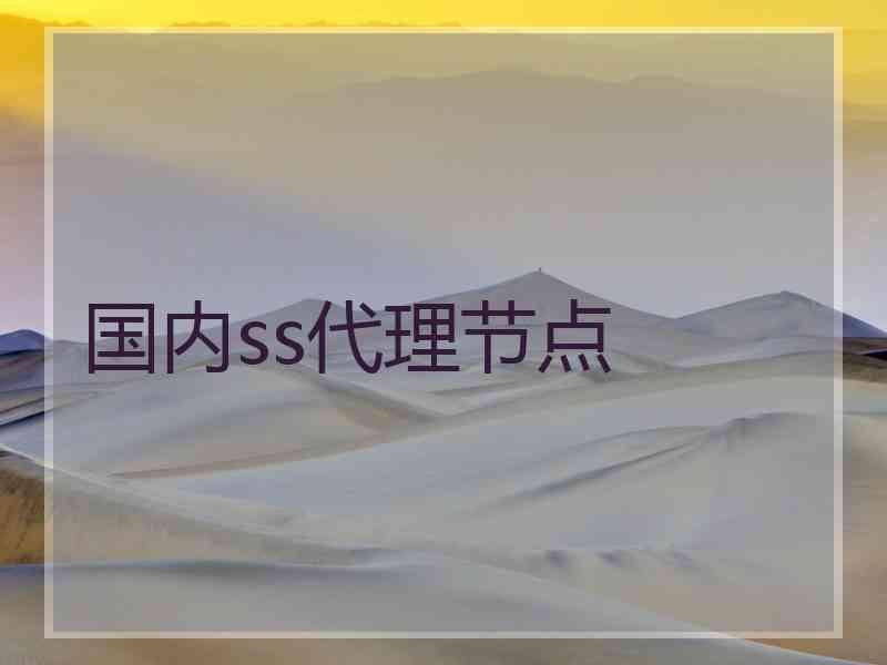 国内ss代理节点