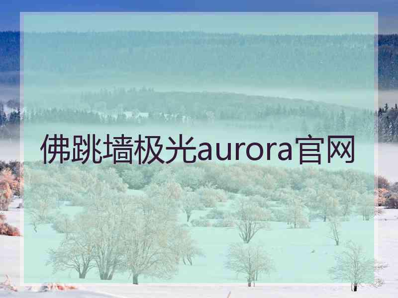 佛跳墙极光aurora官网