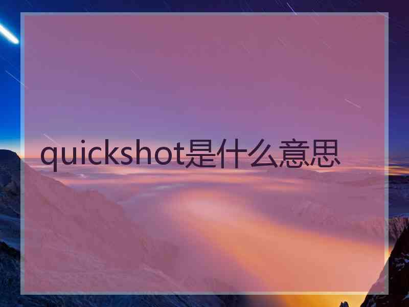 quickshot是什么意思