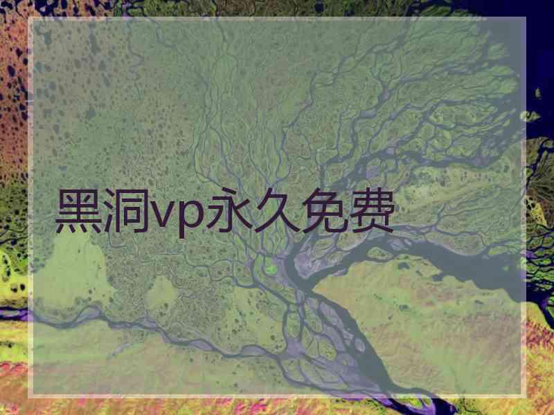 黑洞vp永久免费