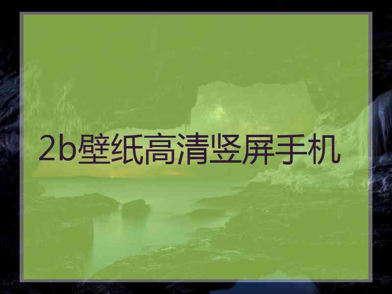 2b壁纸高清竖屏手机