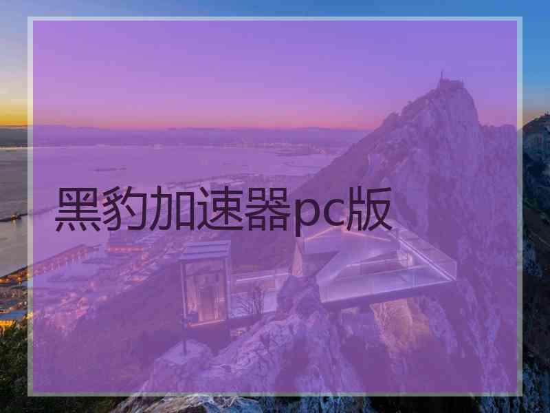 黑豹加速器pc版