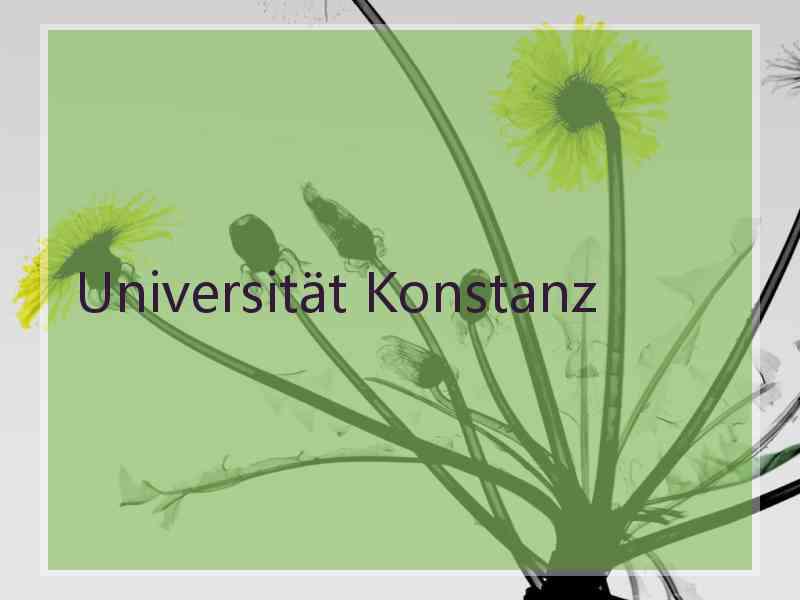 Universität Konstanz