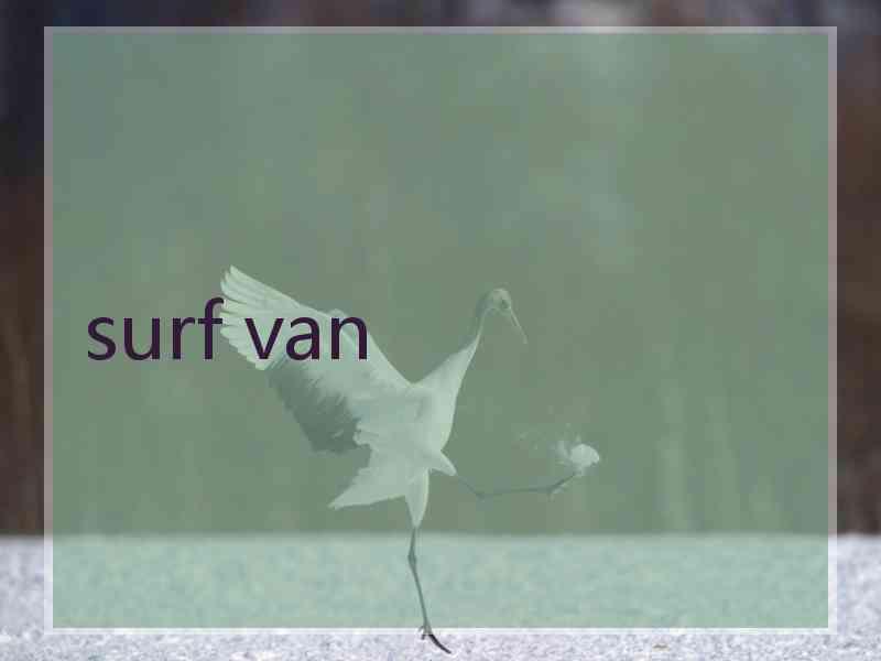 surf van