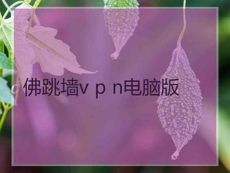 佛跳墙v p n电脑版