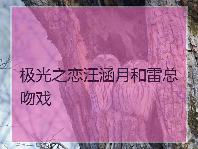 极光之恋汪涵月和雷总吻戏