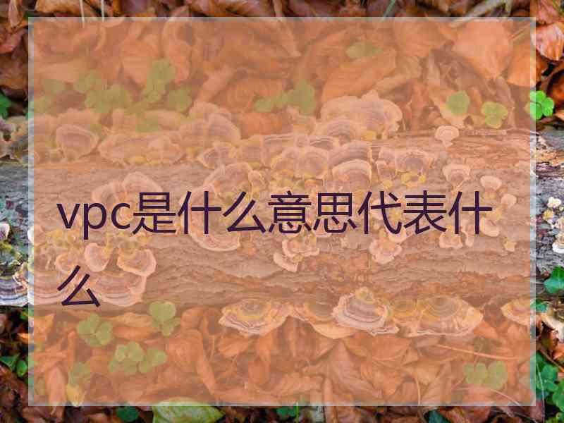 vpc是什么意思代表什么