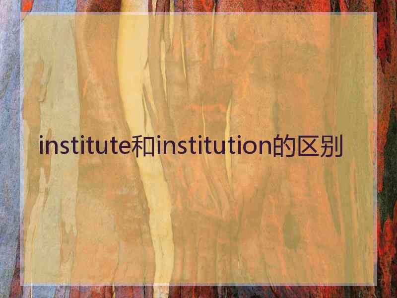 institute和institution的区别