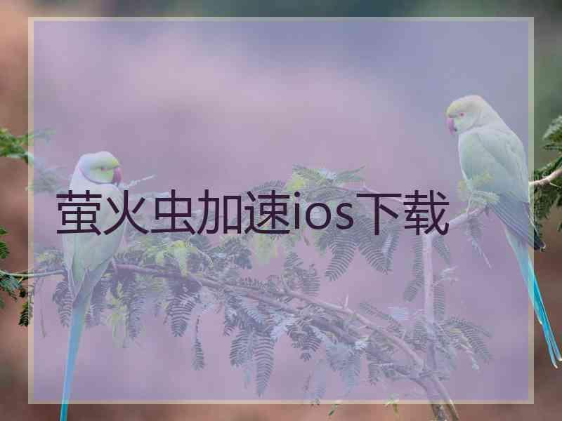 萤火虫加速ios下载