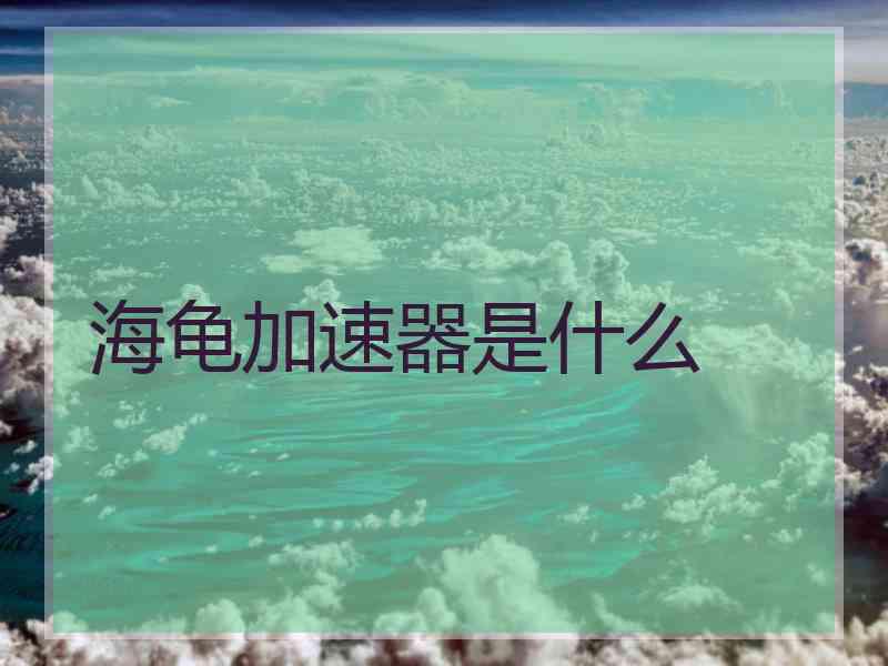 海龟加速器是什么