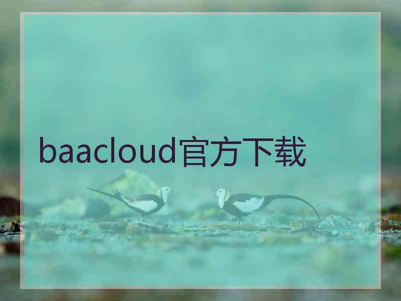 baacloud官方下载