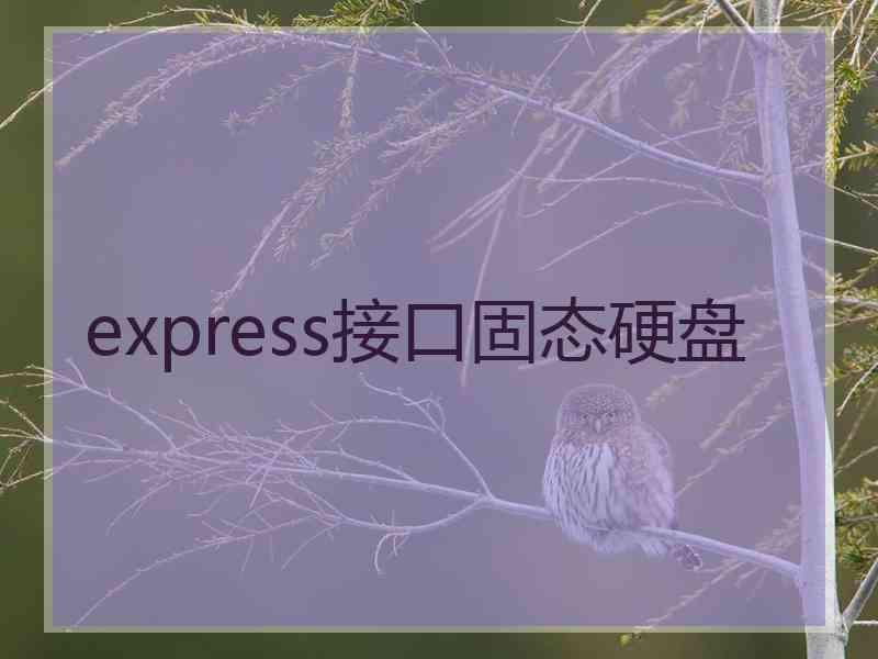 express接口固态硬盘