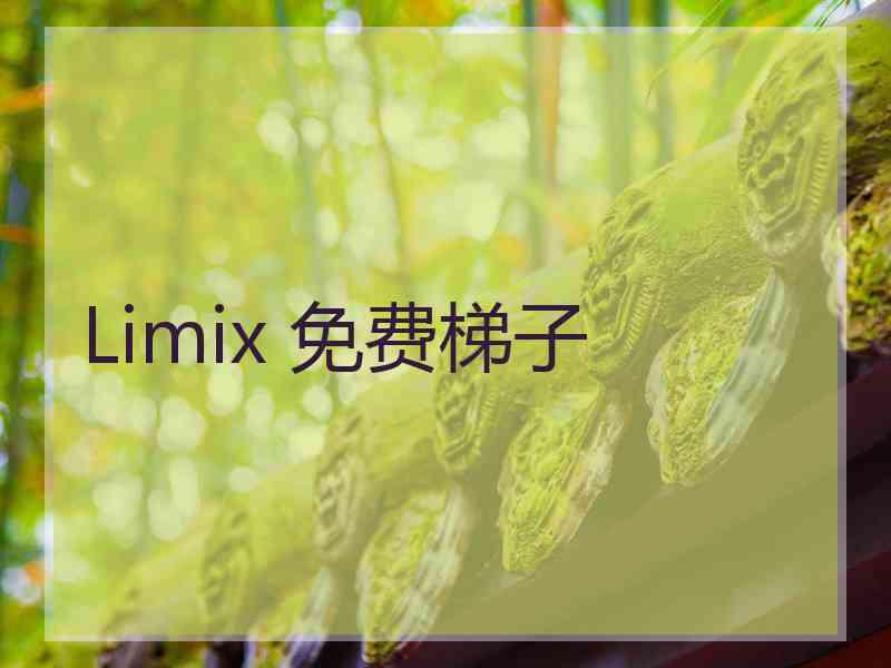 Limix 免费梯子