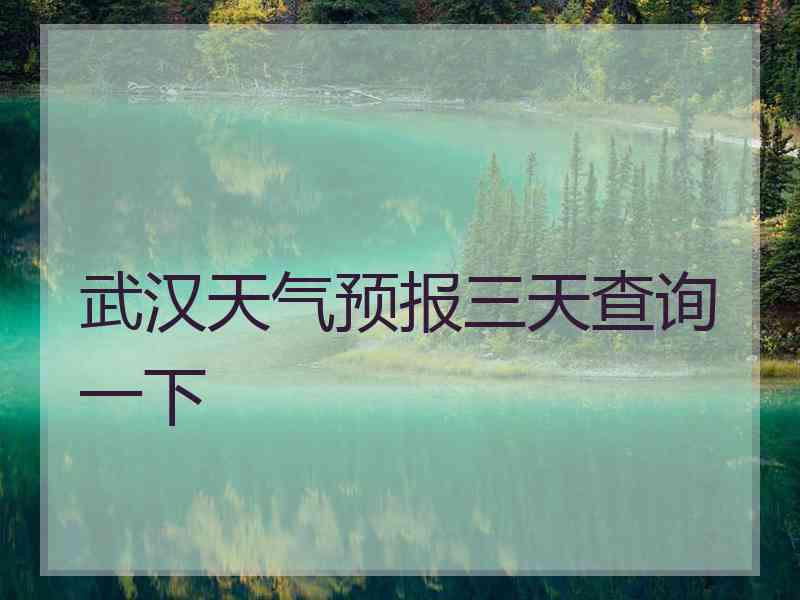 武汉天气预报三天查询一下