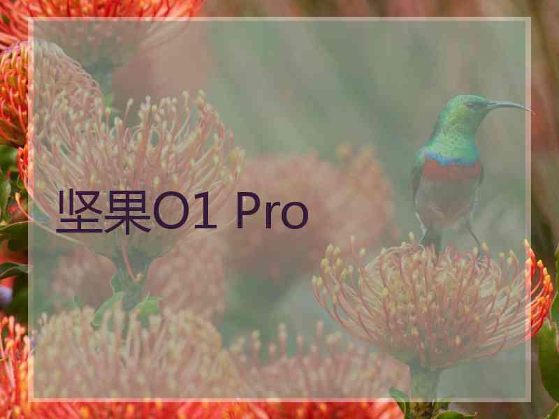 坚果O1 Pro