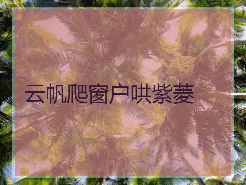 云帆爬窗户哄紫菱