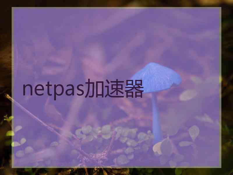 netpas加速器