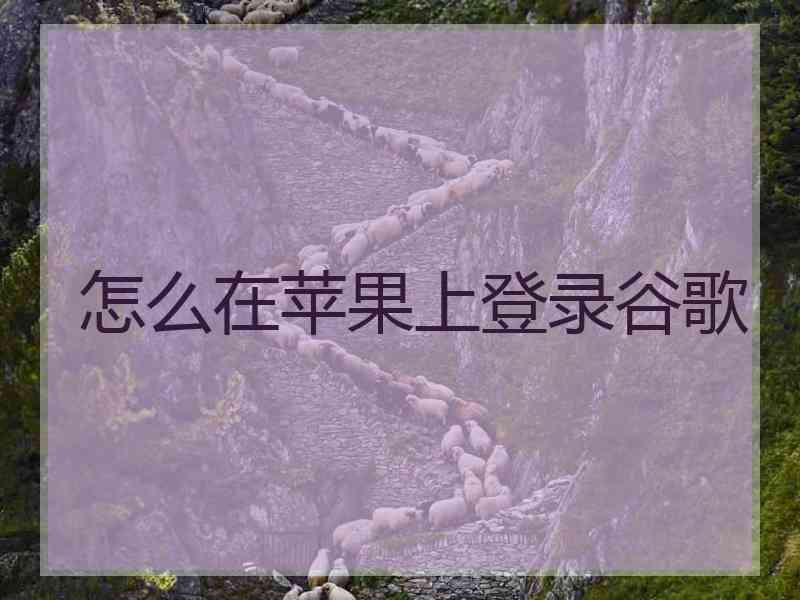 怎么在苹果上登录谷歌