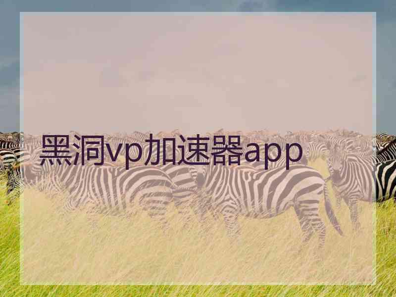 黑洞vp加速器app