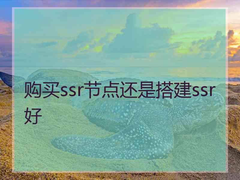 购买ssr节点还是搭建ssr好